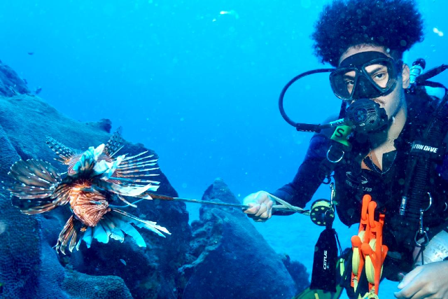 Pessoa mergulhadora subaquática segura haste com um peixe-leão preso na ponta, em meio a formações rochosas no fundo do mar azul.