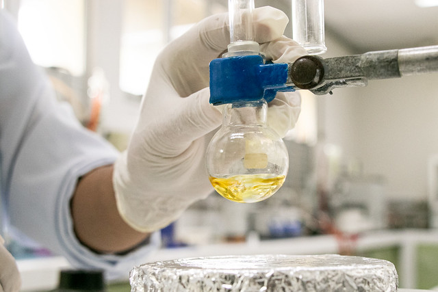 M&atilde;o com luva manuseia vidro com l&iacute;quido amarela em laborat&oacute;rio