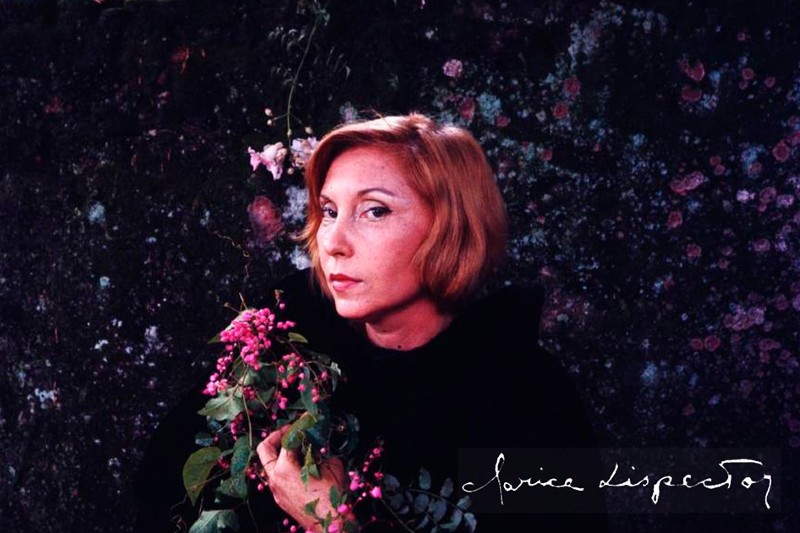 Retrato de Clarice Lispector, com cabelos ruivos curtos, vestindo roupa preta e segurando flores rosas. Ao fundo, h&aacute; um painel escuro com estampas florais. A assinatura da escritora aparece no canto inferior direito