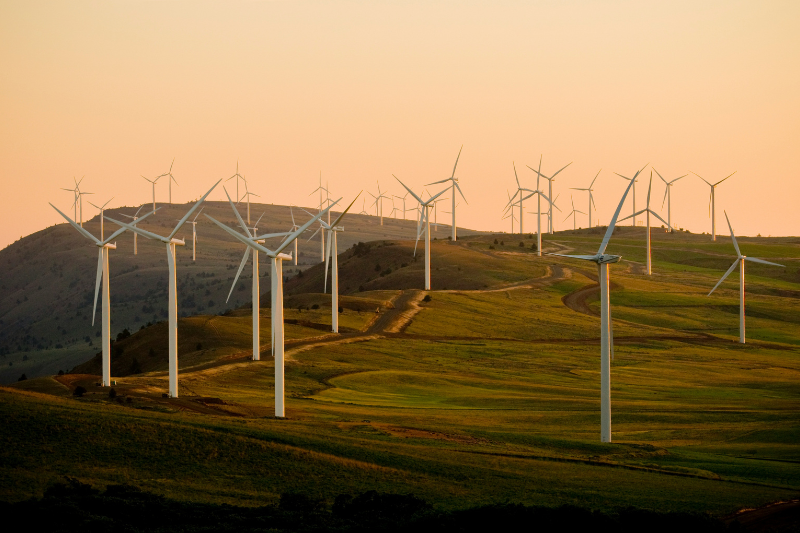 Conjunto de usinas eólicas em morros com relevo suave, gramado verde e uma suave luz vinda do entardecer