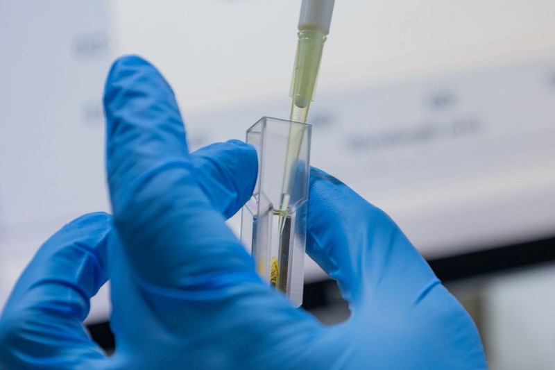 M&atilde;o usando luva cir&uacute;rgica segura uma pipeta com l&iacute;quido transparente em um ambiente de laborat&oacute;rio (Foto: Guilherme Silva/UFC)