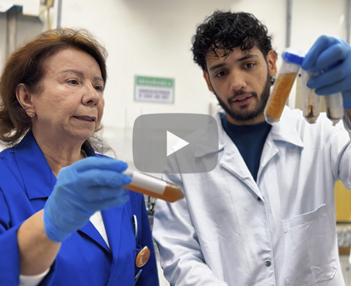 Pesquisadores manuseiam tubo com líquido da casca da castanha de caju em laboratório